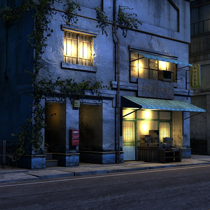 Brick and Mortar vs. Online Bookstores