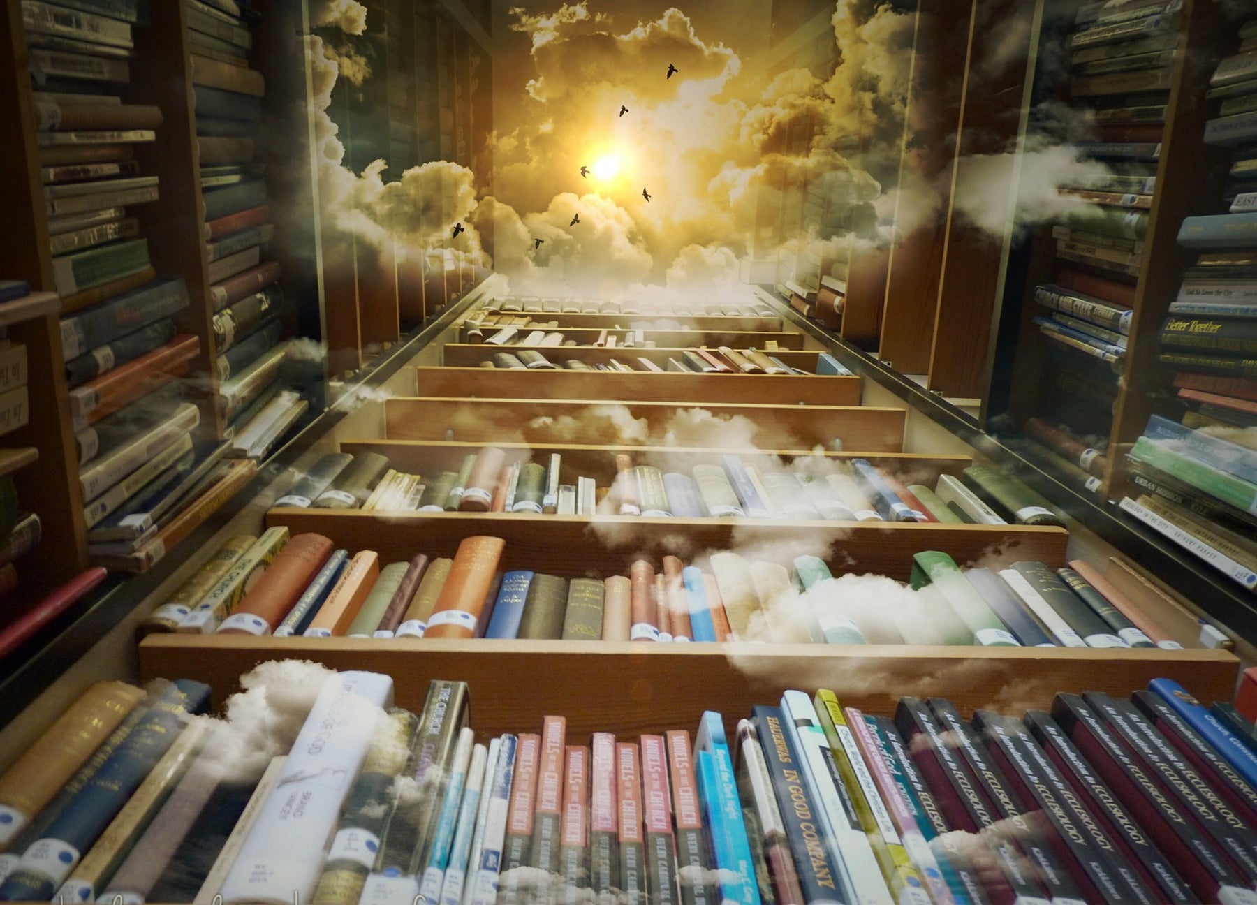 We're Still Putting Books on Our Shelves!