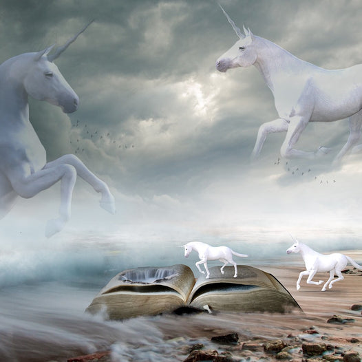 Welcome to Dailey Booksellers