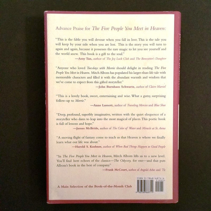 The Five People You Meet in Heaven - By Mitch Albom - Dailey Booksellers