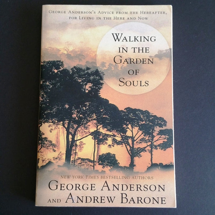 Walking in the Garden of Souls - By George Anderson - Dailey Booksellers