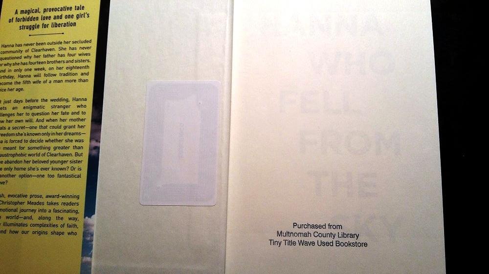 Hanna Who Fell From the Sky - By Christopher Meades - Dailey Booksellers