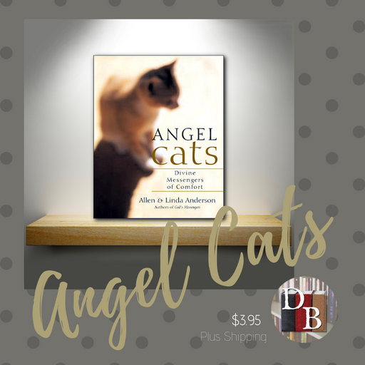 Angel Cats: Divine Messengers of Comfort - By Allen & Linda Anderson - Dailey Booksellers