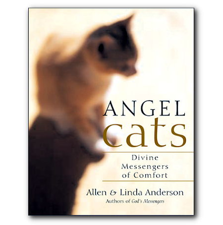 Angel Cats: Divine Messengers of Comfort - By Allen & Linda Anderson - Dailey Booksellers