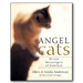 Angel Cats: Divine Messengers of Comfort - By Allen & Linda Anderson - Dailey Booksellers