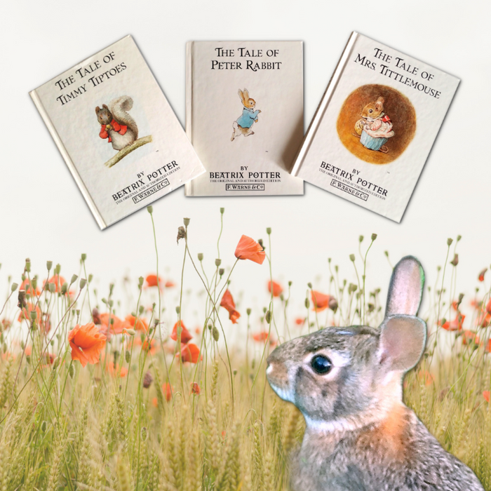 The Tale of Timmy Tiptoes - By Beatrix Potter - Dailey Booksellers
