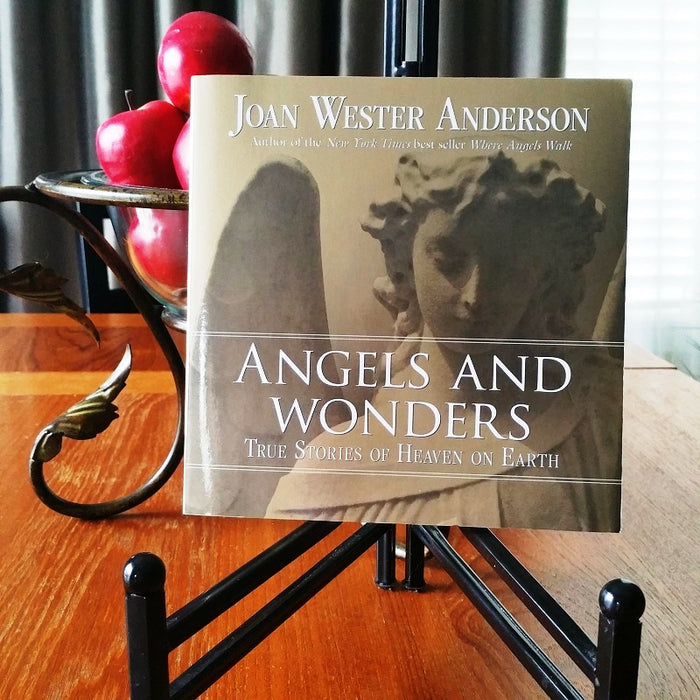 Angels and Wonders: True Stories of Heaven on Earth - By Joan W. Anderson - Dailey Booksellers